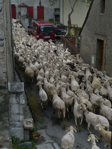 Traditionnel bouchon de fin de semaine en vall&eacute;e d'Aure | Vall&eacute;e d'Aure - Pyr&eacute;n&eacute;es | Scoop.it