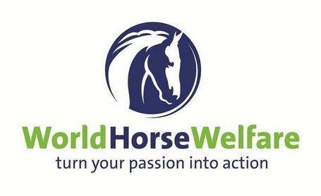 World Horse Welfare&rsquo;s Pre-Olympic Conference Tackles Tough Subject: Horse Welfare in Sport | Horses | Scoop.it