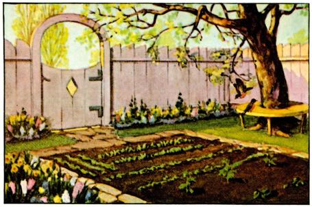 Watch Your Garden Grow: Student Committee Assignment | St. Philip Neri School Garden | Scoop.it