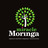 Miracle Moringa