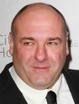 Deadline.com &raquo;James Gandolfini Dies -- 'Sopranos' Star Was 51 | this curious life | Scoop.it