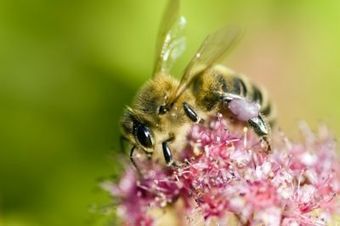 Bien vivre changement de saison | Sant&eacute; et bien etre 2.0 | Scoop.it