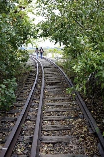 Photography: A Look at the Four Seasons at the High Line | Garden to Table | Scoop.it