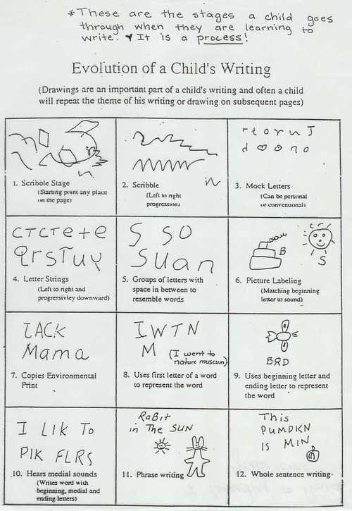 reflection essay criteria