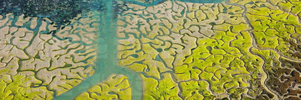 Quand l&rsquo;eau dessine des oeuvres d&rsquo;art | Zones humides - Ramsar - Natura 2000 | Chronique d'un pays o&ugrave; il ne se passe rien... ou presque ! | Scoop.it