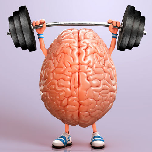 train-your-brain-quiz-online-personal-training-studio-adelaide-chest