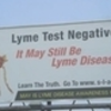 Lyme Disease Awareness