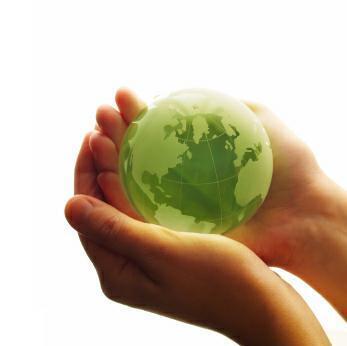 India environment | Tree Planting and Environmental Education | Scoop.it
