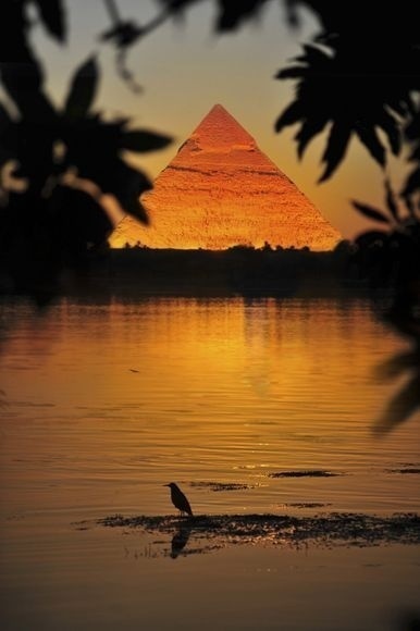 The river Nile, Cairo, Egypt | My Photo | Scoop.it