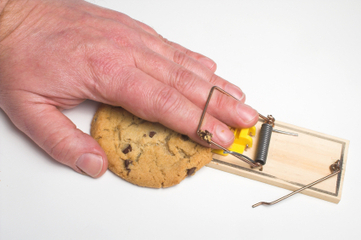 Reducing caloric intake delays nerve cell loss | KurzweilAI | Longevity science | Scoop.it