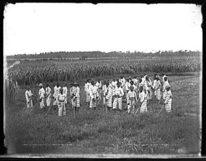 Slavery by Another Name | Abagond | Community Village World History | Scoop.it