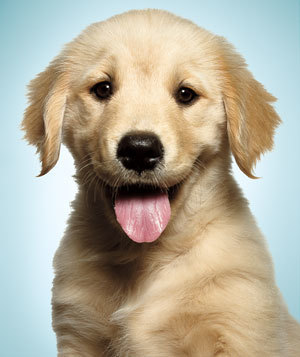 The Psychology of Happiness | Real Simple | Happiness | Scoop.it