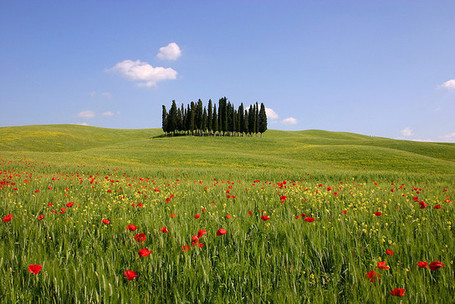 Wandelen in Toscane: het Tuscany Walking Festival | Vacanza In Italia - Vakantie In Italie - Holiday In Italy | Scoop.it