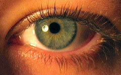 Cameras vs. The Human Eye | Media Technology Connections | Scoop.it