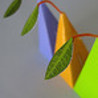 Feuilles de th&eacute;