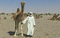 Crise alimentaire au Sahel&nbsp;: les cons&eacute;quences sur des &eacute;leveurs au Tchad | Oxfam-Solidarit&eacute; | K-classroom | Scoop.it