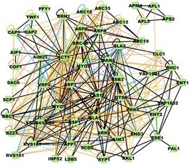 Interface-Resolved Network of Protein-Protein Interactions | Databases & Softwares | Scoop.it