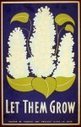 Let them grow | Botany Whimsy | Scoop.it