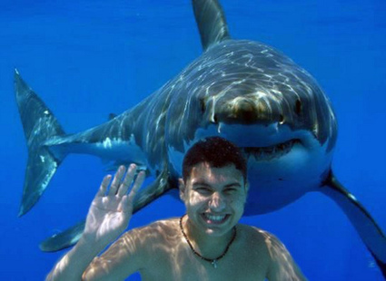 5 Myths about #ScubaDiving | Scuba Diving | Scoop.it
