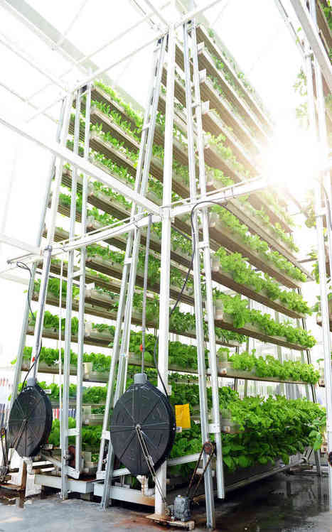 scoop it vertical farming vs farming vertically vertical food blog