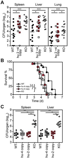 Humanized TLR4/MD-2 Mice Reveal LPS Recognition Differentially Impacts Susceptibility to Yersinia pestis and Salmonella enterica | Host Cell & Pathogen Interactions | Scoop.it