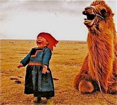 Humour in the steppes of Mongolia | Geography Education | Scoop.it