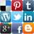 R&eacute;seaux sociaux et community management en France