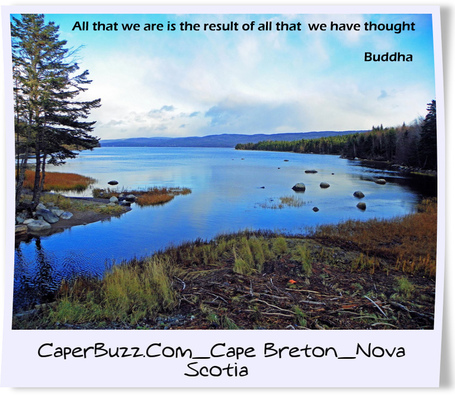 The result of all that we have thought | CaperBuzz.Com_Cape Breton_Nova Scotia | Scoop.it
