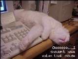 Procrastination effects our setting and achieving goals - goal setting tip | Becoming a better salesperson | Scoop.it