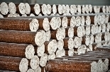 US Biomass: Where Do All the Wood Pellets Go? | Sustain Our Earth | Scoop.it