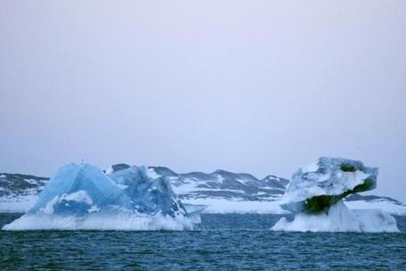 Oc&eacute;an arctique : des scientifiques r&eacute;clament l'interdiction de la p&ecirc;che | Biodiversit&eacute; | Scoop.it