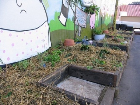 Urban vegetable gardening using the principals of permaculture | Farming, Forests, Water & Fishing (No Petroleum Added) | Scoop.it