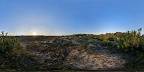 Cap Ferret &ndash; oc&eacute;an &ndash; entre dunes et for&ecirc;t | Christian Braut & Monsieur Gontrand | L&egrave;ge Cap Ferret | Scoop.it