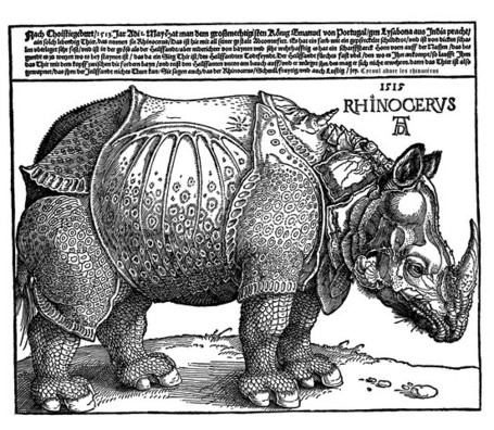 La th&eacute;orie du rhinoc&eacute;ros &ndash; Strat&eacute;gies digitales pour les noobs | A la recherche de la valeur ajout&eacute;e | Scoop.it