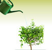 Commission proposes strategy for sustainable bioeconomy in Europe - Research - European Commission | All About Food | Scoop.it