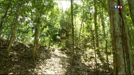Le Journal du week-end - Guatemala : &agrave; la d&eacute;couverte d'une cit&eacute; Maya disparue | ifre | Scoop.it