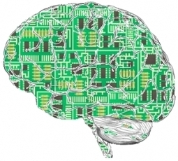 Ten Brain Science Studies from 2011 Worth Talking About | Health Innovation | Scoop.it