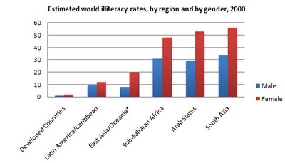 IELTS Writing - Task 1 - Double Bar Graph (World Literacy Rates) | IELTS Writing Task 1 Practice | Scoop.it