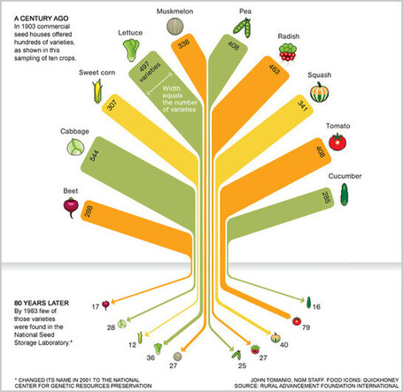 Infographic: In 80 Years, We Lost 93% Of Variety In Our Food Seeds | Chronique d'un pays o&ugrave; il ne se passe rien... ou presque ! | Scoop.it