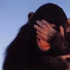 Senator Asks For Proof Of Evolution, Discovers He Doesn't Actually Understand What It Is | Education Research | Scoop.it