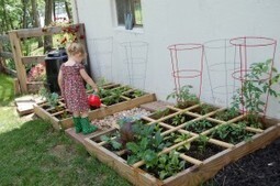 Moestuinieren 2.0 | Permacultuur in Nederland | Scoop.it