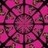 The Akashic Detail - Upcoming Events