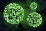 HPV Vaccine for Teens: Doctors Voice Their Concerns | Virology News | Scoop.it