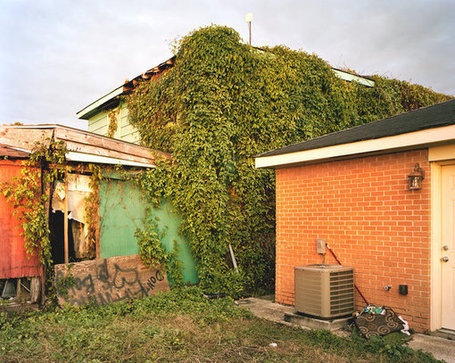 The Lower Ninth Ward in New Orleans Gives New Meaning to &lsquo;Urban Growth&rsquo; | Geography Education | Scoop.it