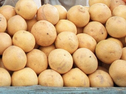 Le pamplemousse d&eacute;conseill&eacute; avec de nombreux m&eacute;dicaments | En Forme et en Sant&eacute; | Scoop.it