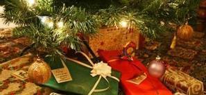 B&ucirc;che, sapin, cadeaux... d'o&ugrave; viennent ces traditions de No&euml;l&nbsp;? - La D&eacute;p&ecirc;che | Patrimoine V&eacute;g&eacute;tal et Biodiversit&eacute; | Scoop.it