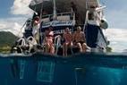 Exploring the under water world around Saba and St. Kitts - Austin American-Statesman | Scuba Dive Travel | Scoop.it