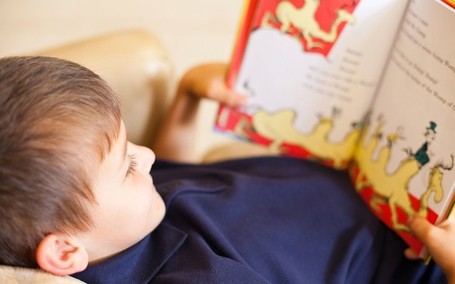 Teachers: new reading test for infants 'is a waste of time' - Telegraph.co.uk | Professional development of Librarians | Scoop.it