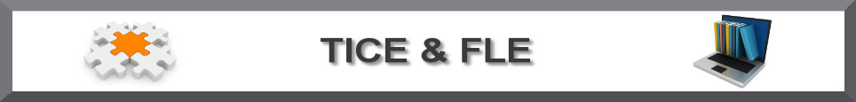 TICE & FLE