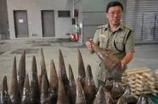 US rhino horn trafficking draws motley profiteers | Wildlife Trafficking: Who Does it? Allows it? | Scoop.it